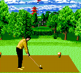 Скриншот игры Ernie Els Golf